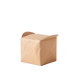 copia de copia de copia de copia de Envase bowl bagazo